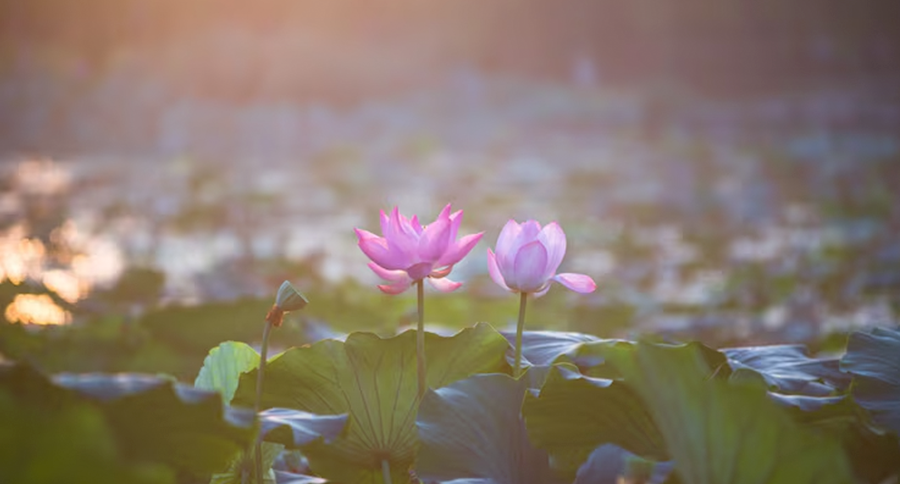 Nazar gercekten var midir