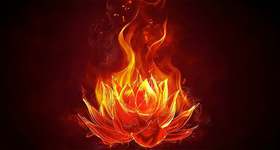 Ognenny svetok ates cicegi kokenleri ve pratigi